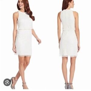 Adrianna Papell beaded cocktail dress